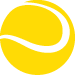 Logo PALASUN